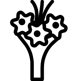 Hochzeitsstrauß